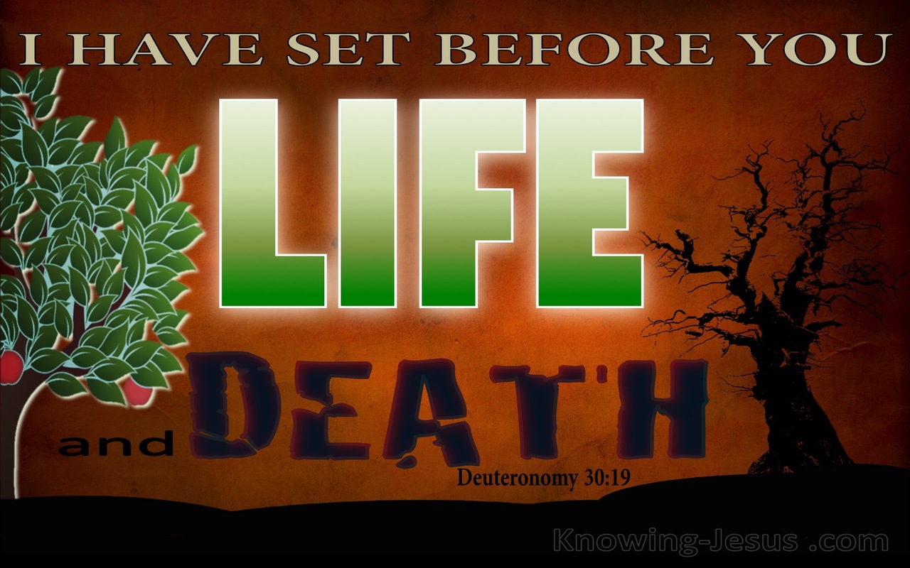 Deuteronomy 30:19 Choose Life Or Death (brown)